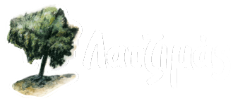 Latzimas